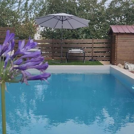 Bed and Breakfast Domaine De La Vigne Cadalen Экстерьер фото