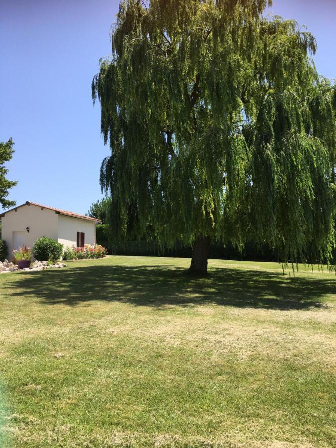 Bed and Breakfast Domaine De La Vigne Cadalen Экстерьер фото