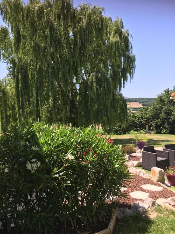 Bed and Breakfast Domaine De La Vigne Cadalen Экстерьер фото