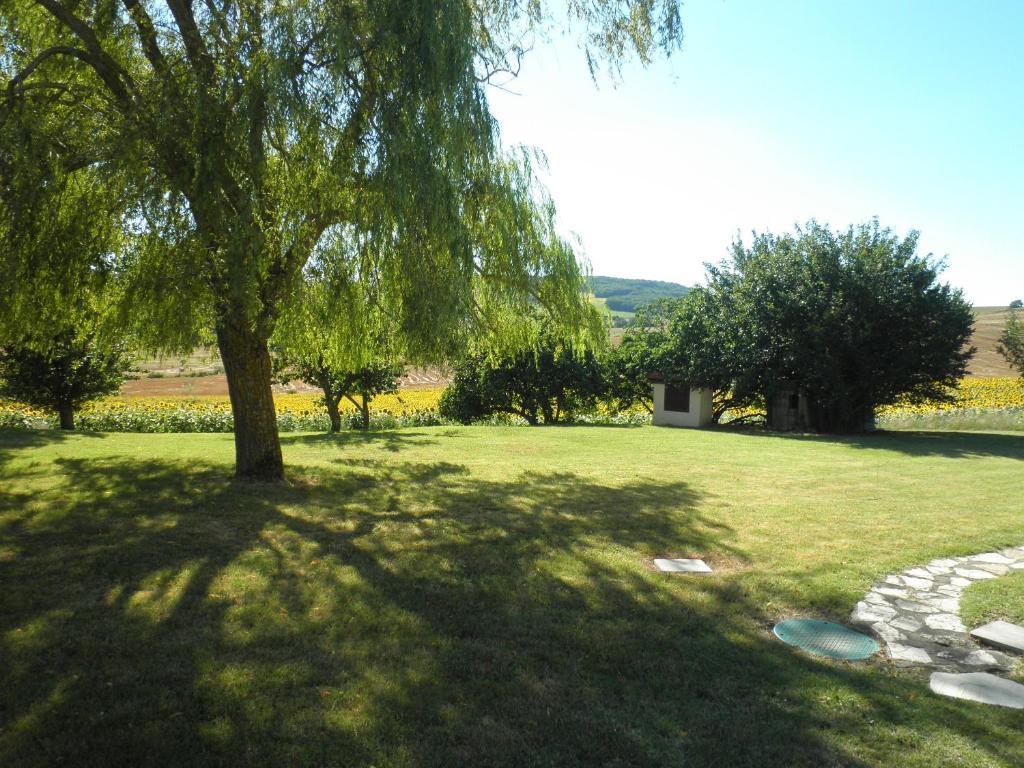Bed and Breakfast Domaine De La Vigne Cadalen Экстерьер фото
